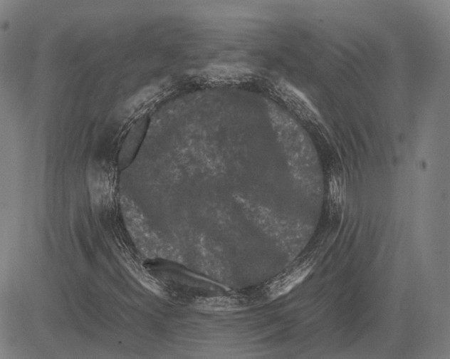 X0000081431300200702021642