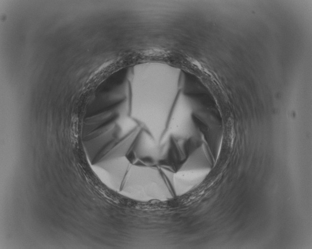 X0000081431301200702021642