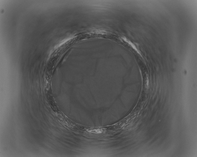 X0000081431303200702021642