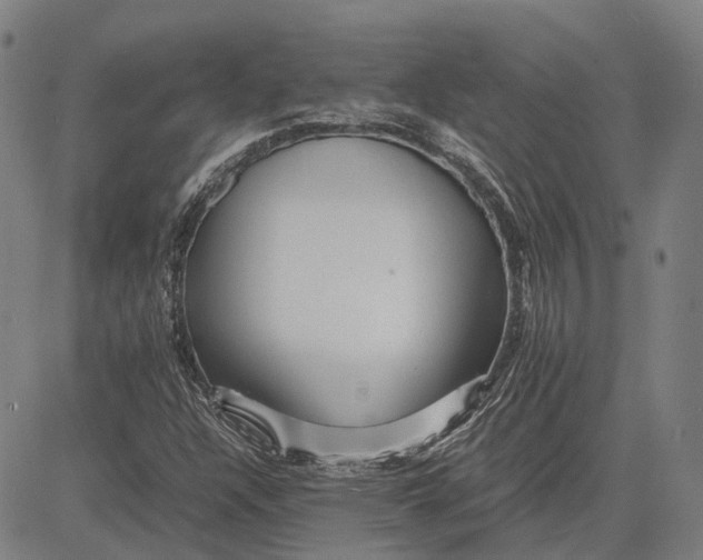 X0000081431304200702021642