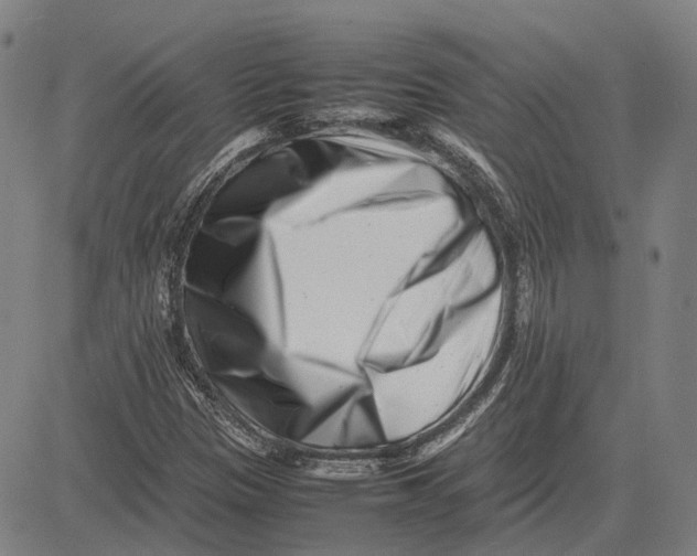 X0000081431305200702021642