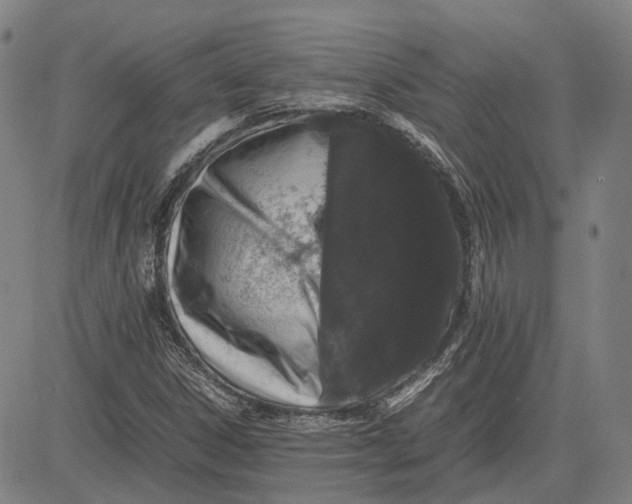 X0000081431306200702021642