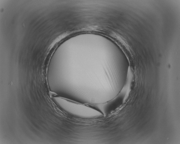 X0000081431308200702021642