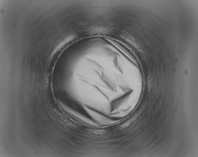 X0000081431309200702021642