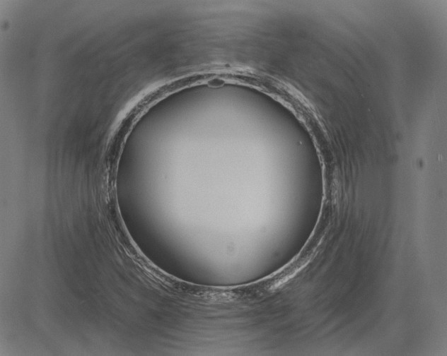 X0000081431310200702021642