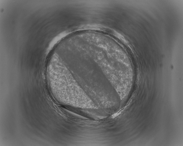 X0000081431312200702021642