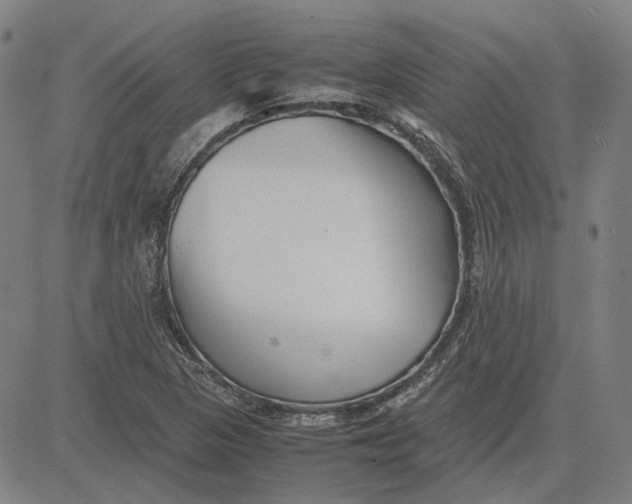 X0000081431313200702021642