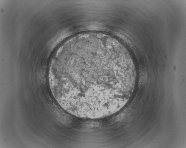 X0000081431314200702021642