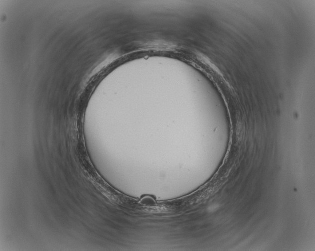 X0000081431315200702021642