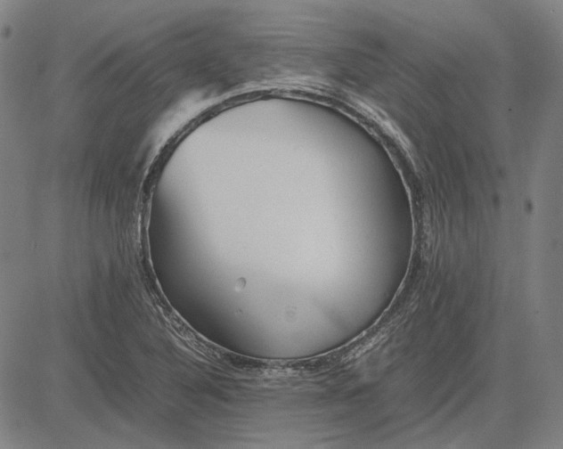 X0000081431316200702021642