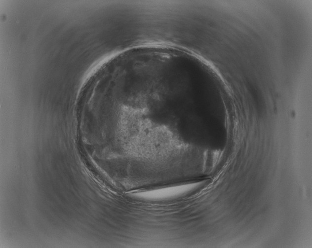 X0000081431319200702021642