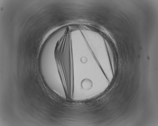 X0000081431320200702021642