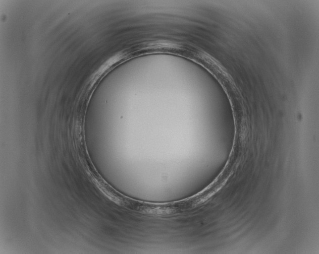 X0000081431321200702021642