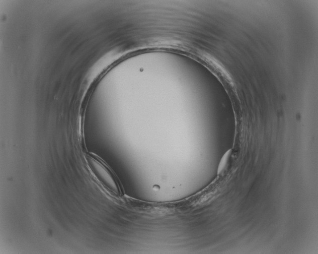 X0000081431324200702021643