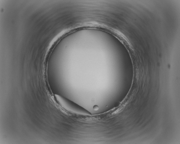 X0000081431326200702021643