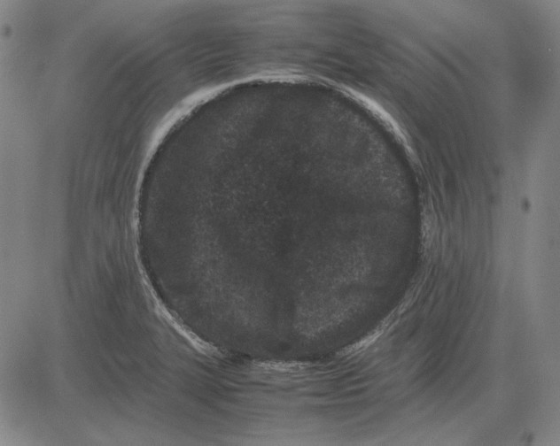 X0000081431327200702021643