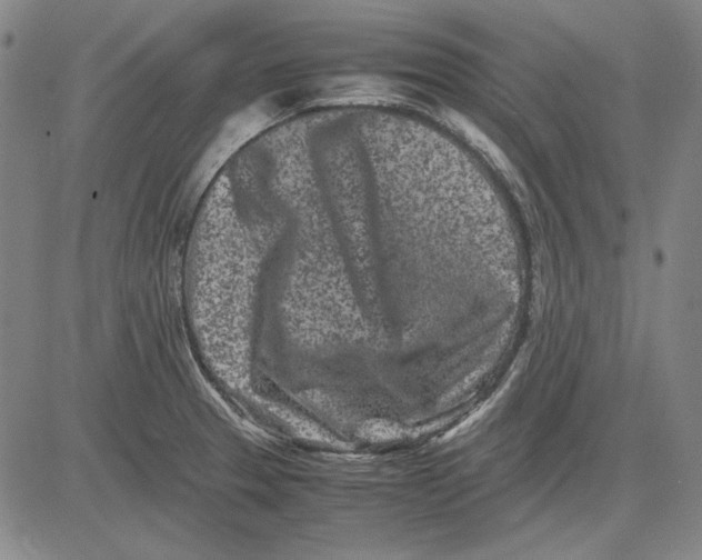 X0000081431329200702021643