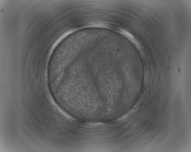 X0000081431331200702021643