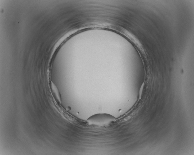 X0000081431332200702021643