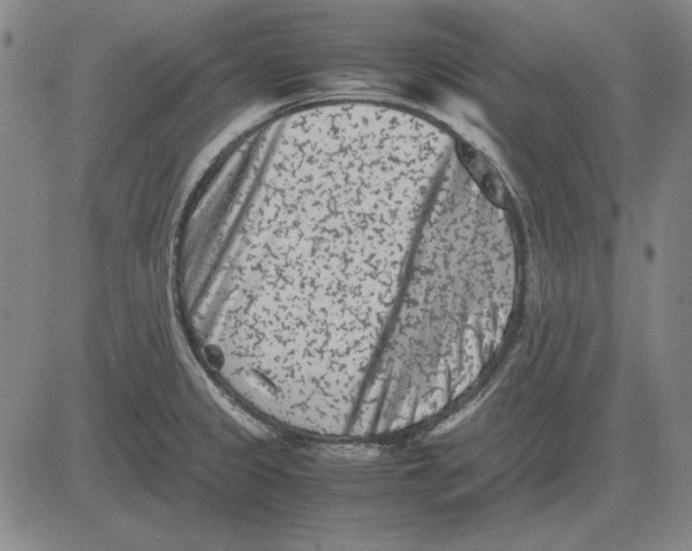 X0000081431333200702021643