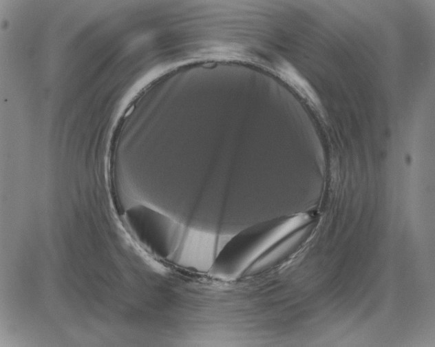 X0000081431334200702021643