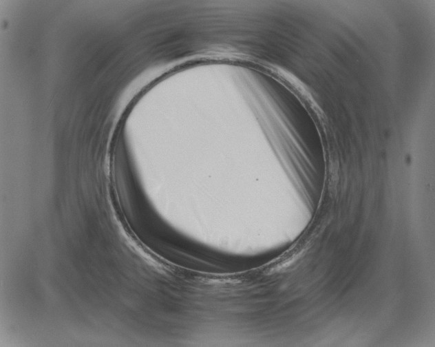 X0000081431335200702021643