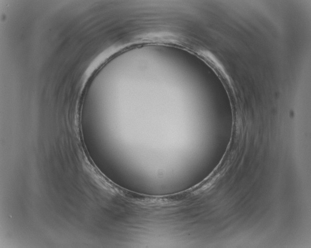 X0000081431336200702021643