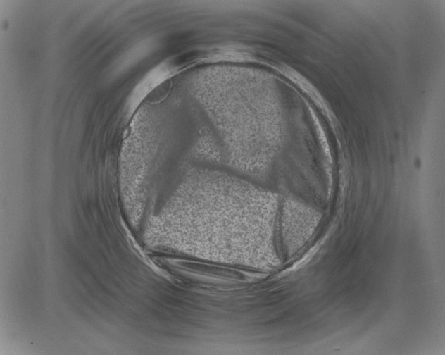 X0000081431337200702021643