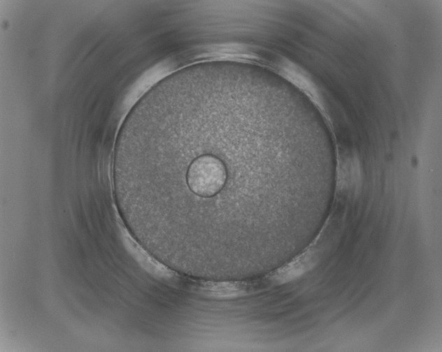 X0000081431338200702021643