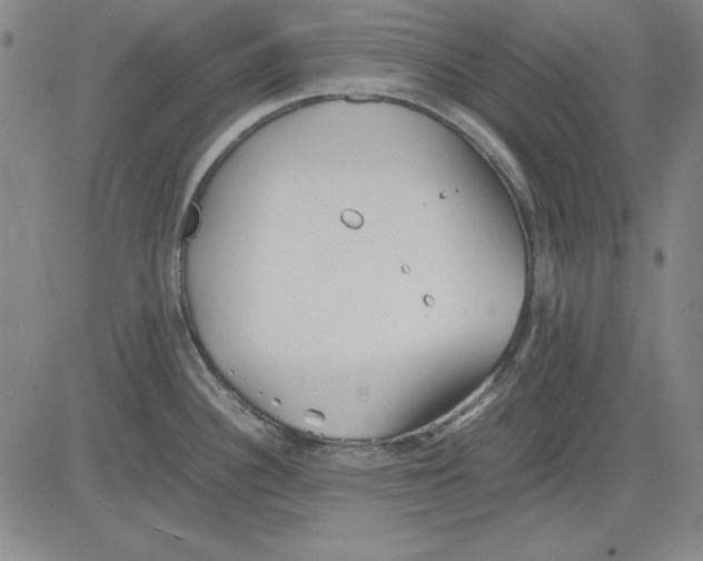 X0000081431340200702021643