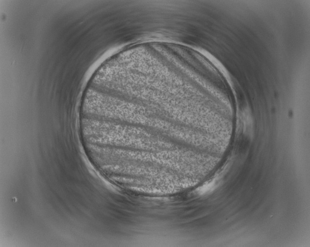 X0000081431341200702021643