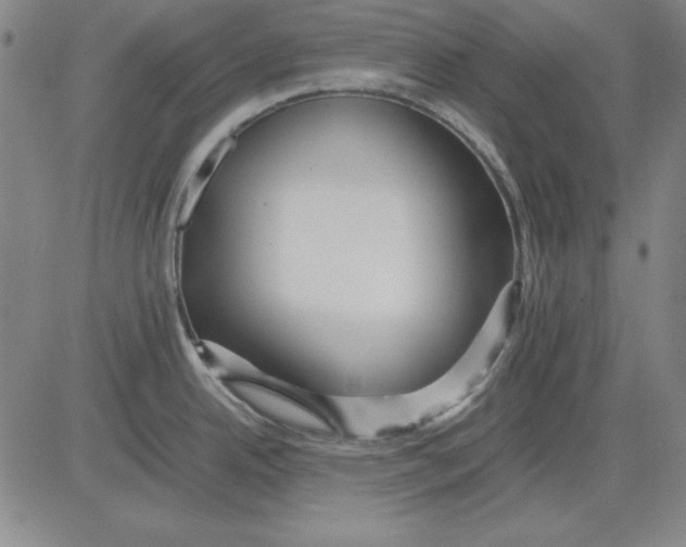 X0000081431342200702021643