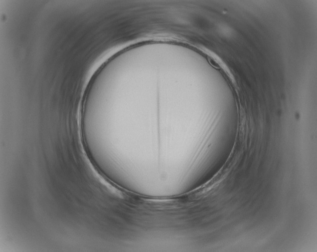 X0000081431343200702021643