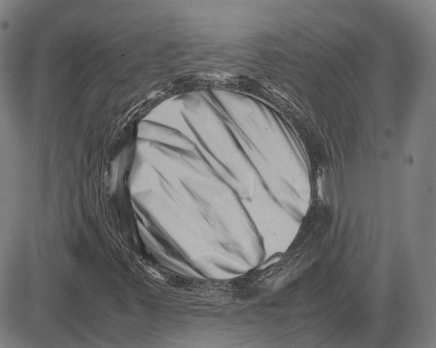 X0000081431347200702021642