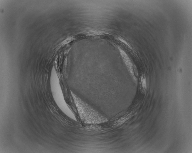 X0000081431348200702021642