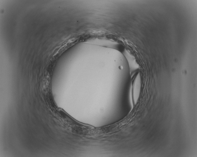 X0000081431349200702021642