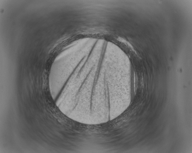 X0000081431350200702021642