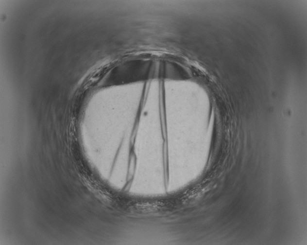 X0000081431351200702021642