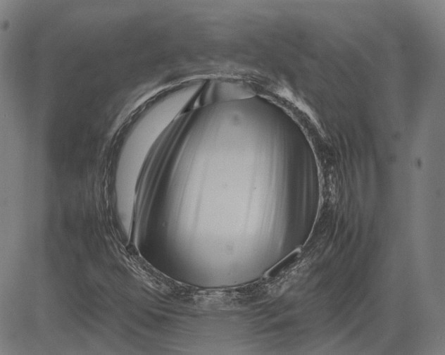 X0000081431352200702021642