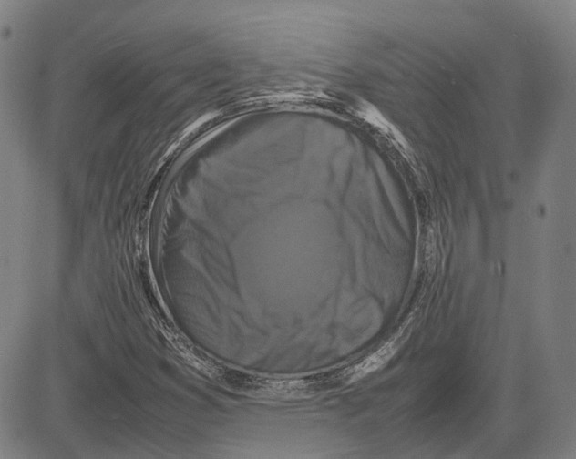 X0000081431353200702021642