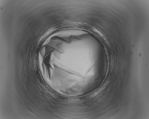 X0000081431354200702021642