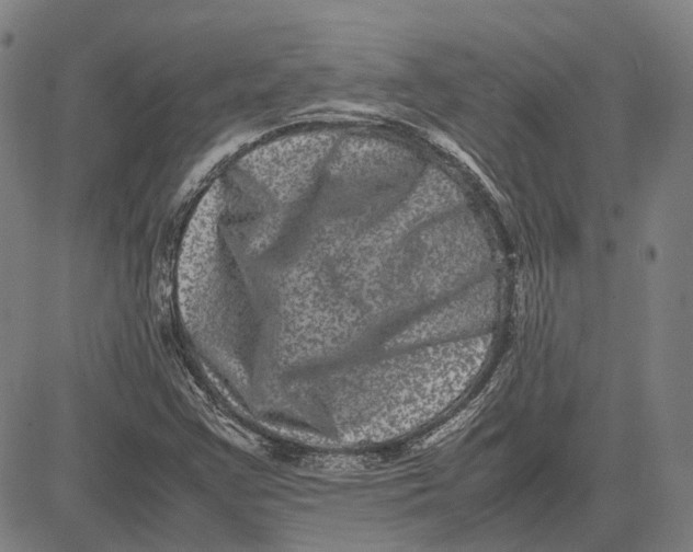 X0000081431355200702021642