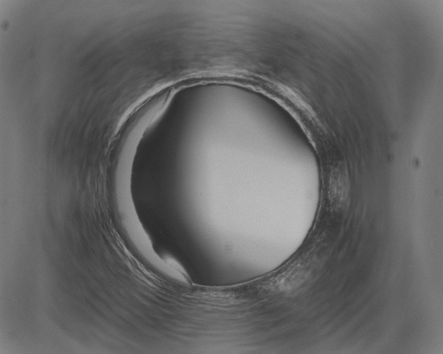 X0000081431356200702021642