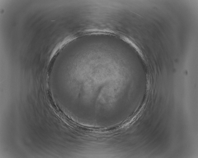 X0000081431357200702021642