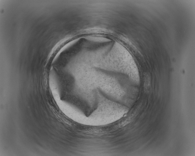 X0000081431358200702021642