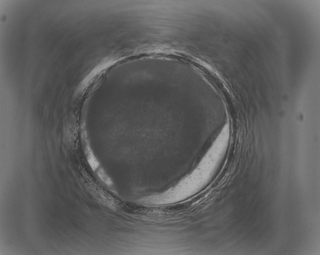 X0000081431359200702021642