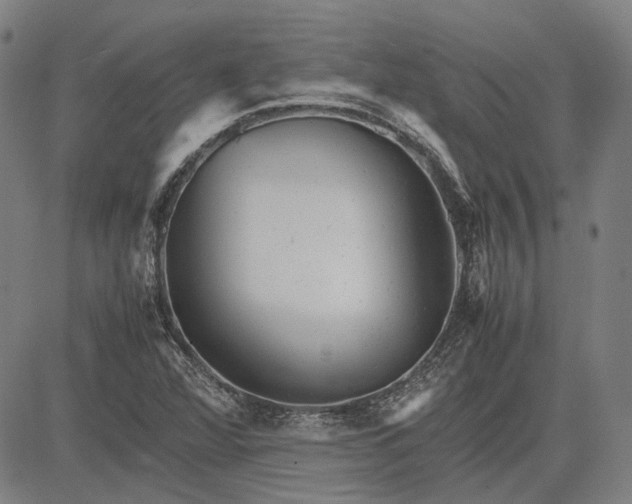 X0000081431360200702021642