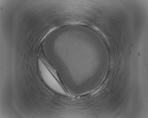 X0000081431361200702021642