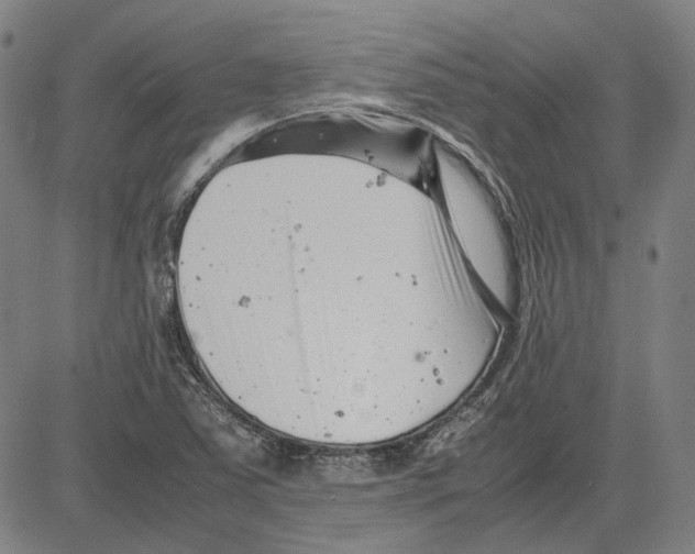 X0000081431363200702021642