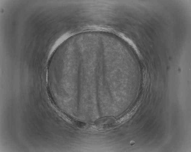 X0000081431365200702021642